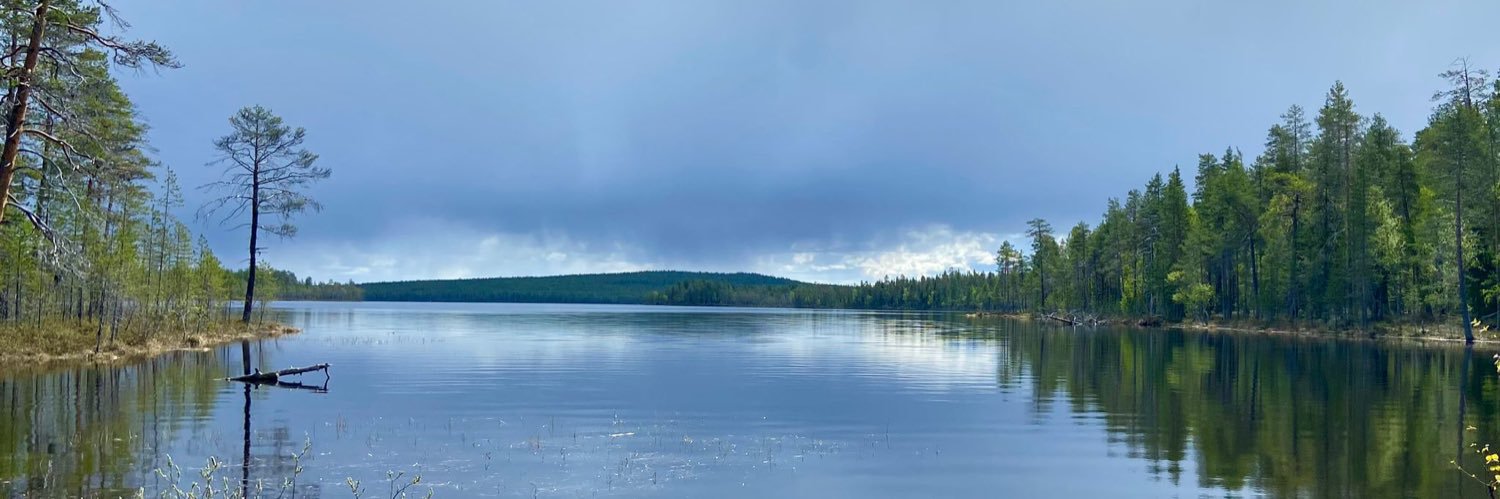 Maavoimien komentaja banner