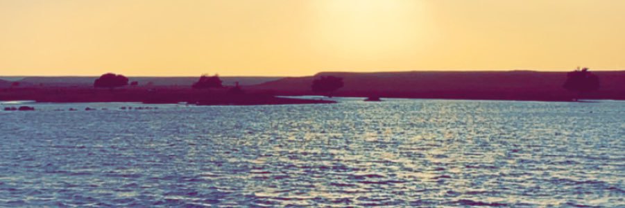 SaadHamad57's profile banner image