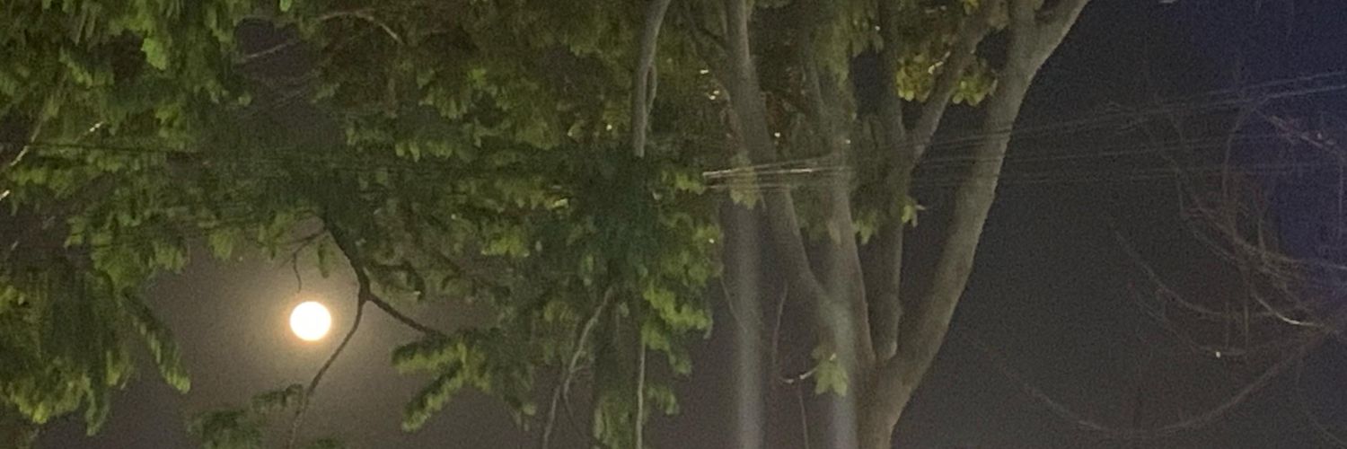 RaviKumarCh17's profile banner image