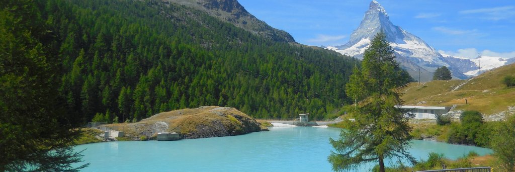 Maria Laura Ferster banner