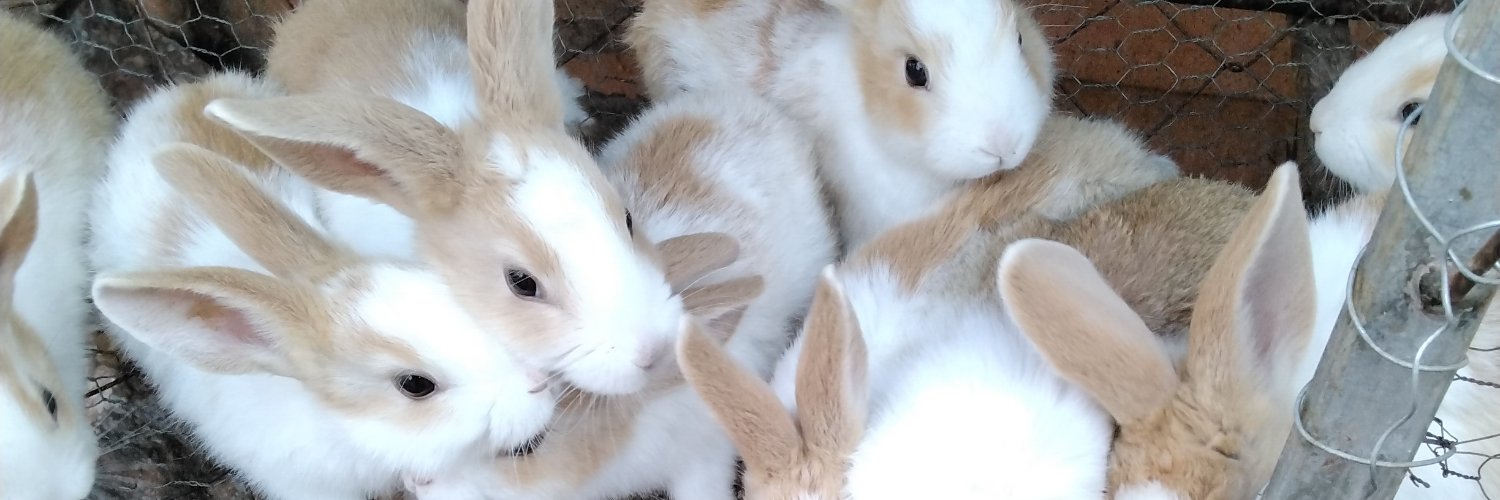 Takawira Dururu banner