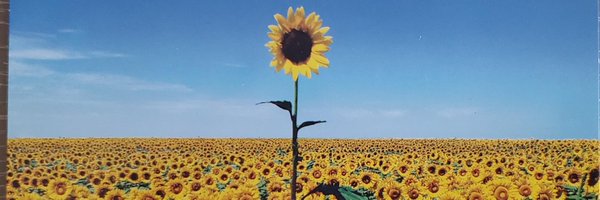 marcusnelson Profile Banner