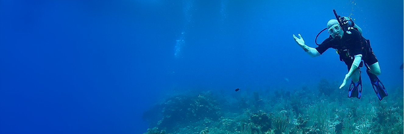 Marcus Nelson 🤓 banner