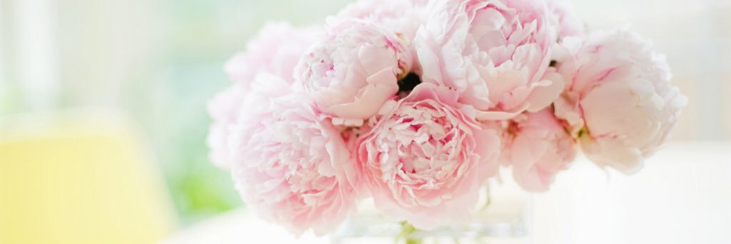KennaPoulos's profile banner image