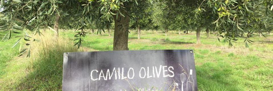 CamiloOlives's profile banner image