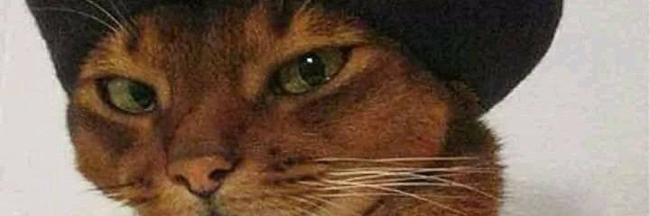 LaMarce1406's profile banner image