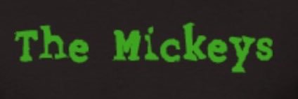 TheMickeysBand's profile banner image