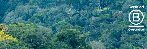 Ecosphere+ banner