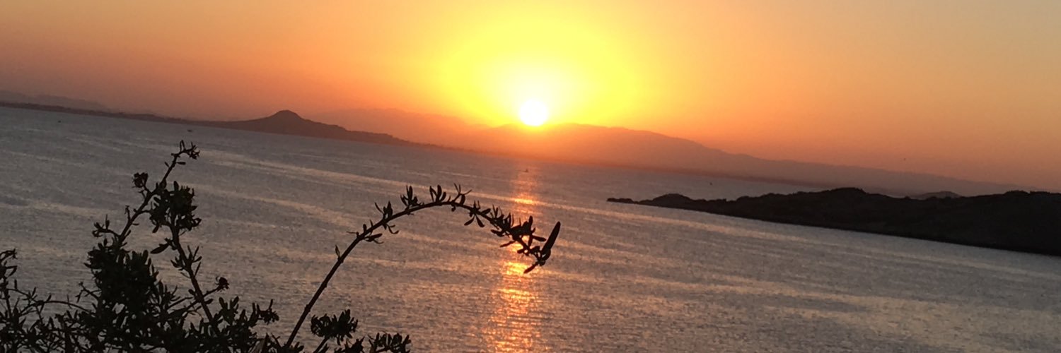 evitaperon96's profile banner image