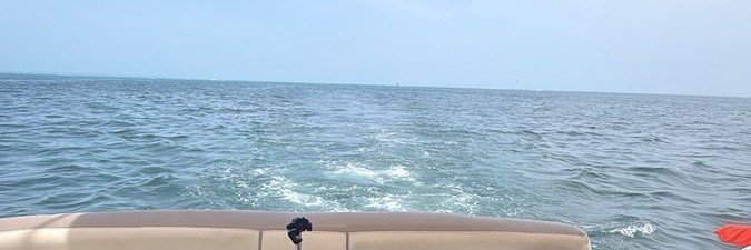 chloe_sush's profile banner image