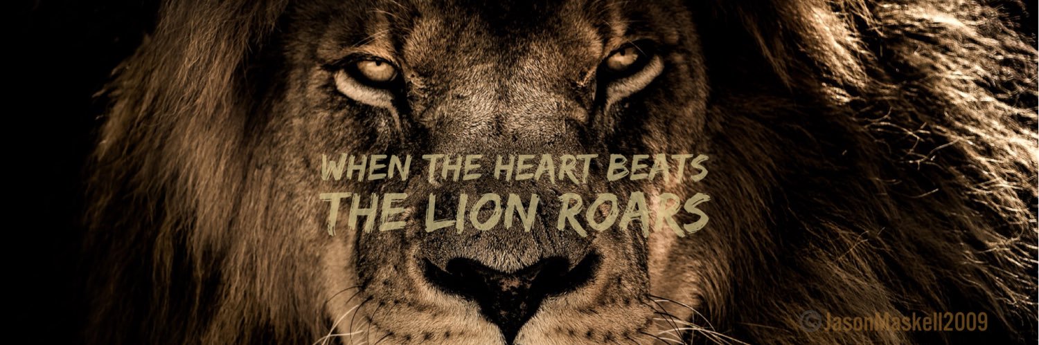 Jason Maskell banner