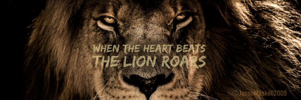 Jason_Maskell Profile Banner