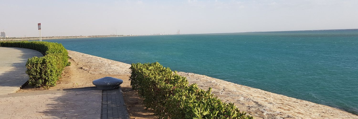 abrar_twts's profile banner image