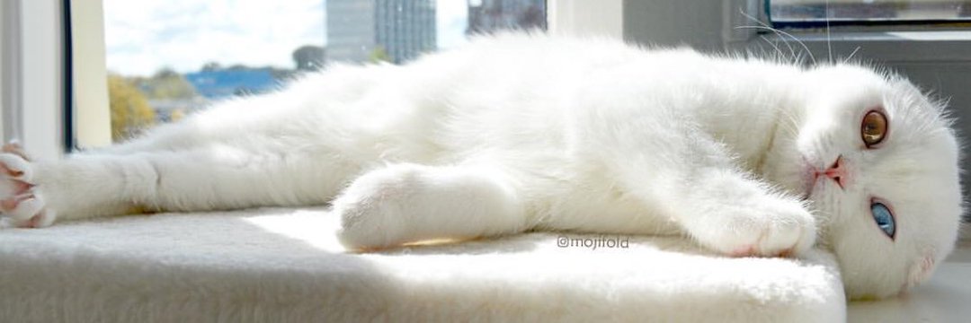 mryozbkr's profile banner image