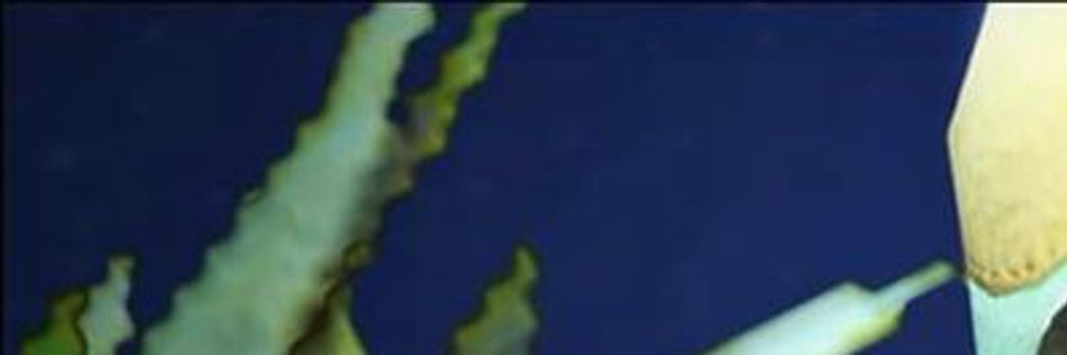 Shev9393's profile banner image