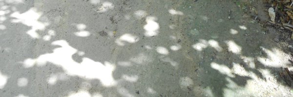 takethemonet Profile Banner