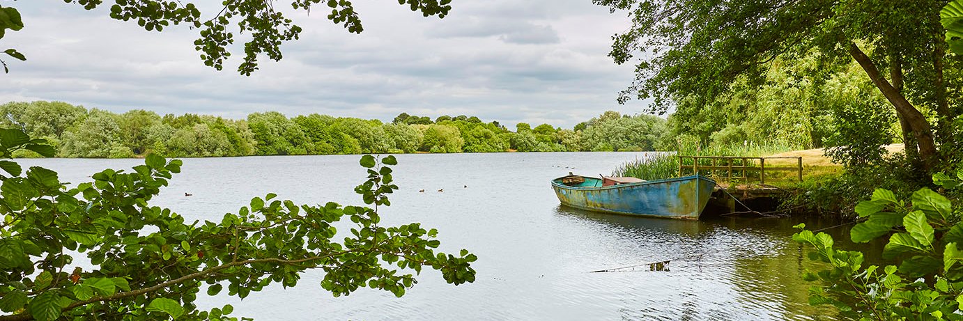 Bathgate Group banner