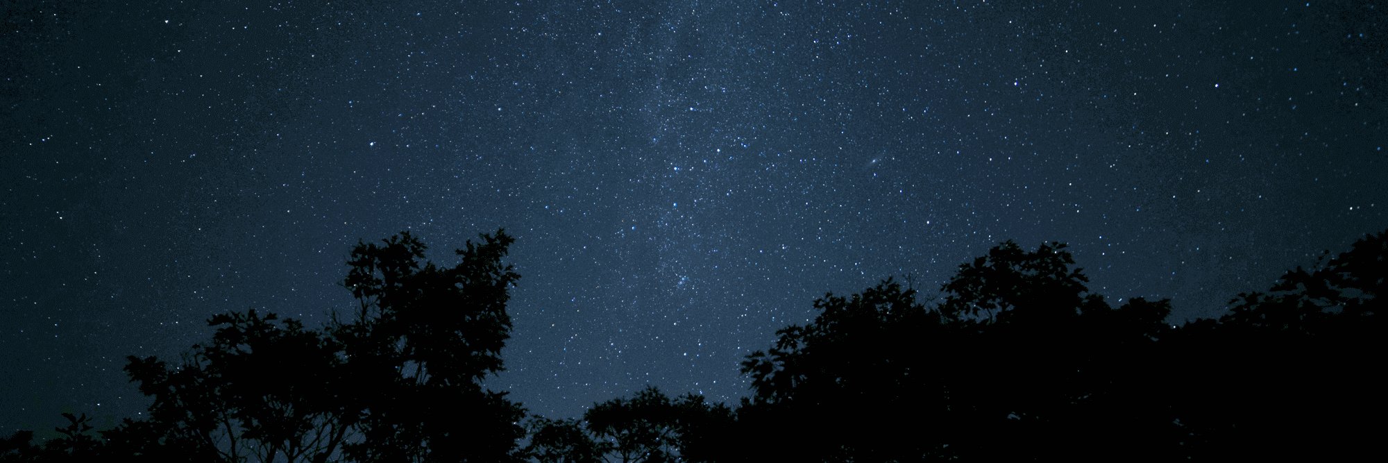 Trinity Space banner