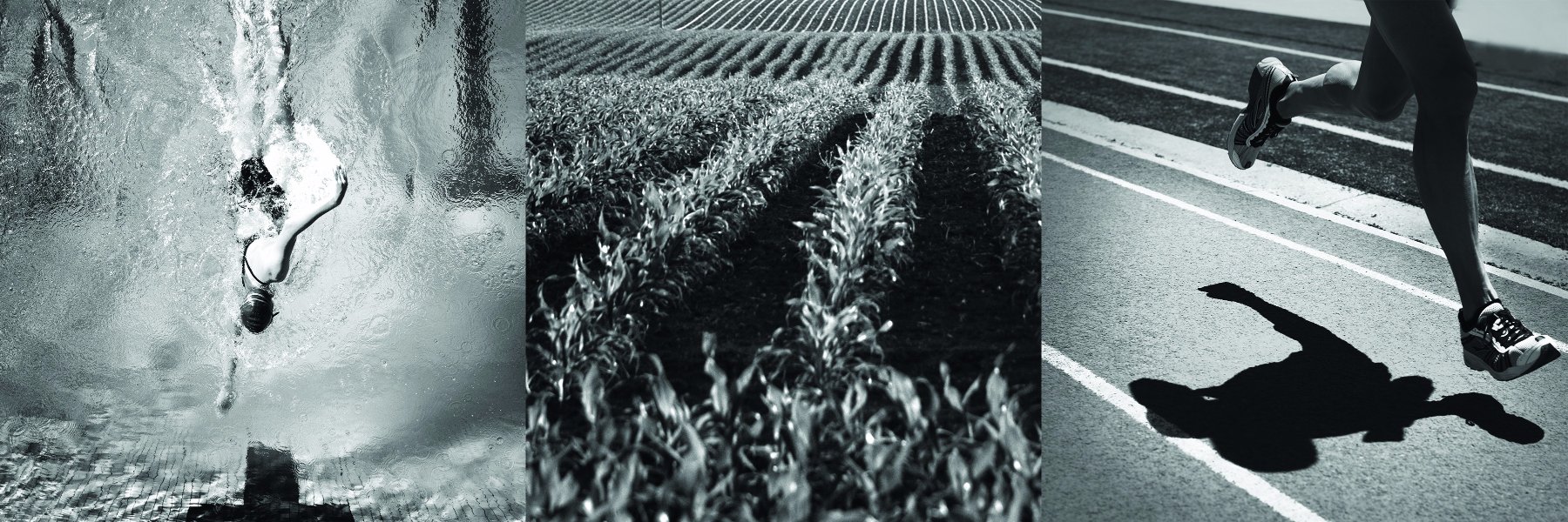 Sur PhytoPerformance banner