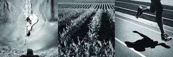 SurPhyto Profile Banner