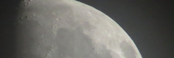 ぽん Profile Banner