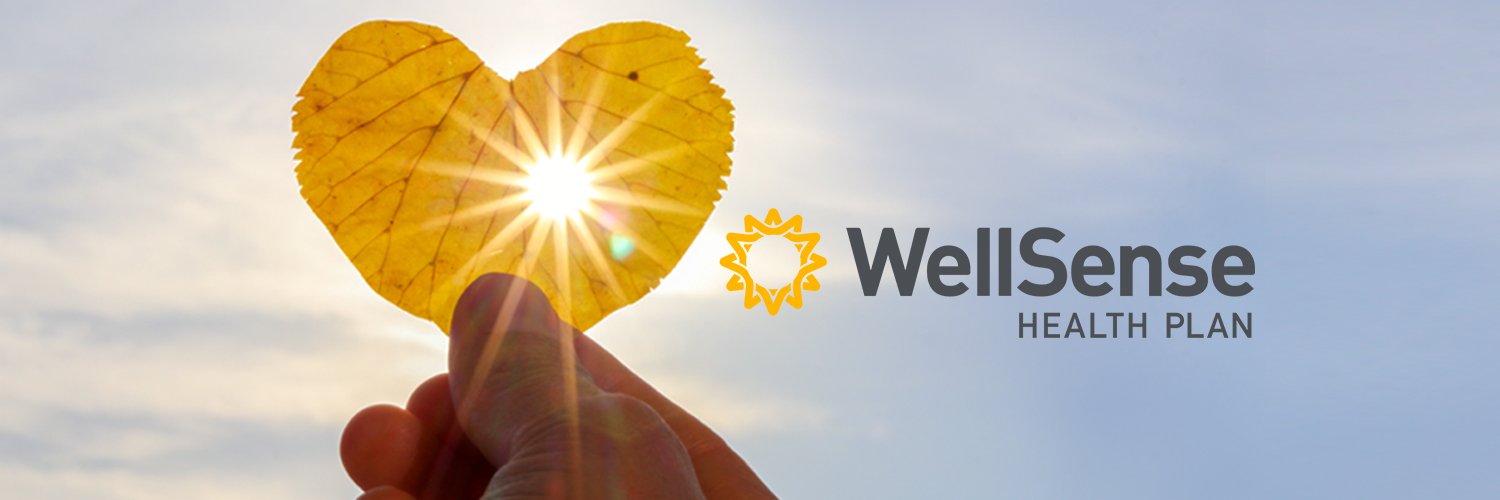 WellSense Health Plan banner