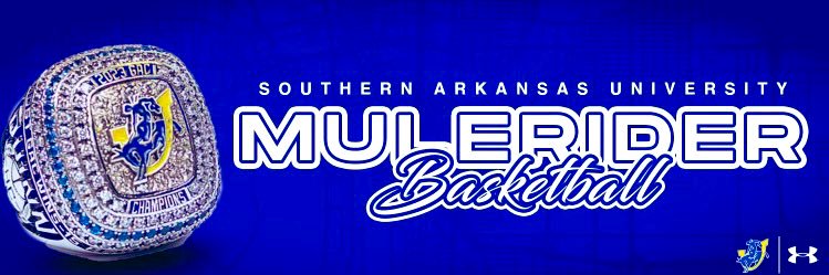 SAU Basketball banner