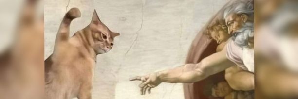 beeaa_lozaano's profile banner image