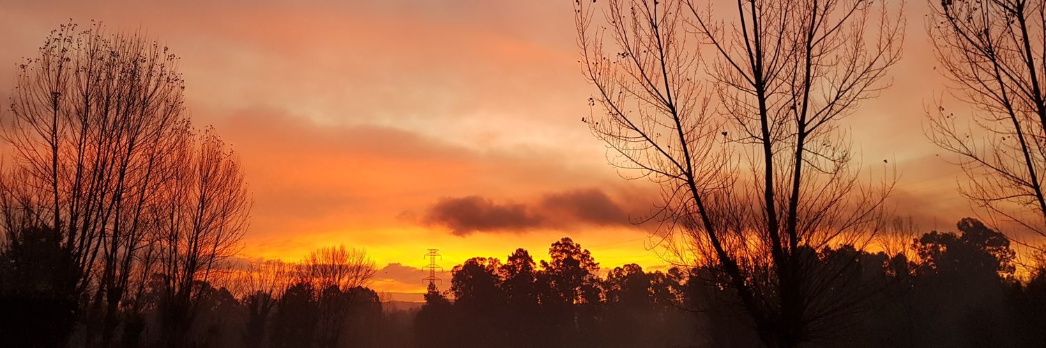 NelsonNeto579's profile banner image