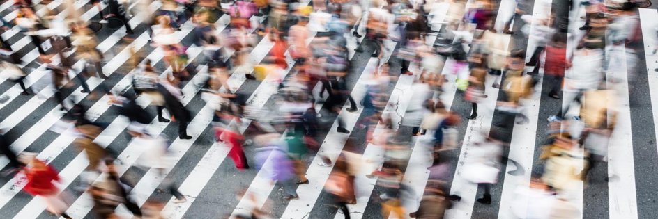 Chaire Anthropolis banner