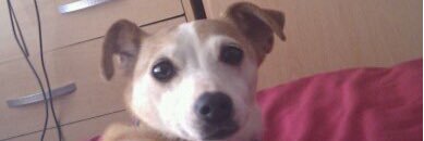 cam1997b's profile banner image