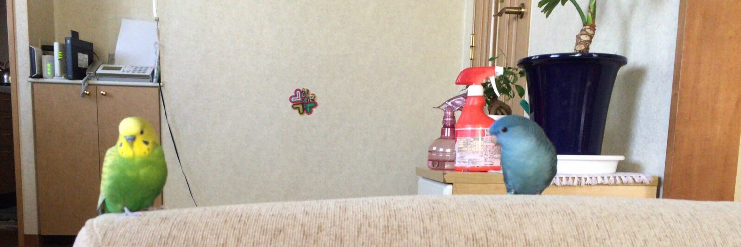 halu_suba's profile banner image