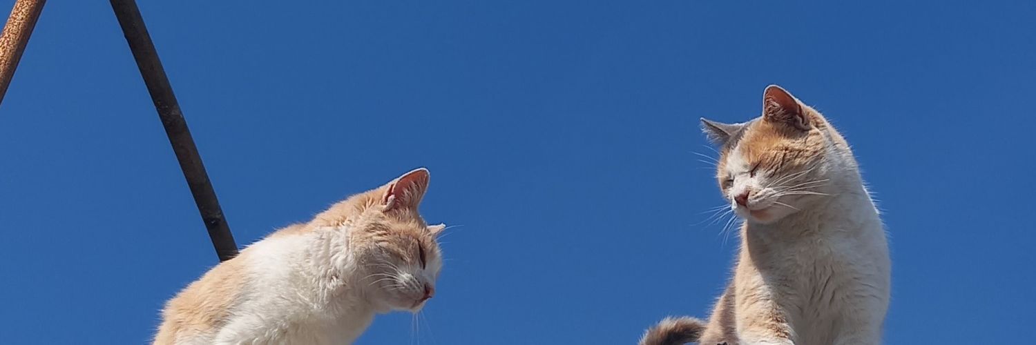 Melcostas_'s profile banner image