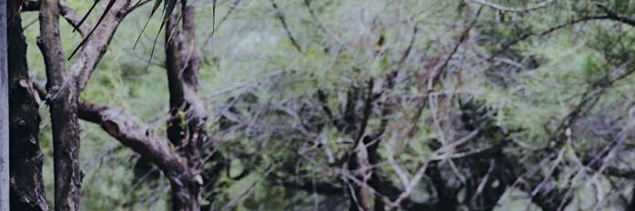 mrazzp's profile banner image
