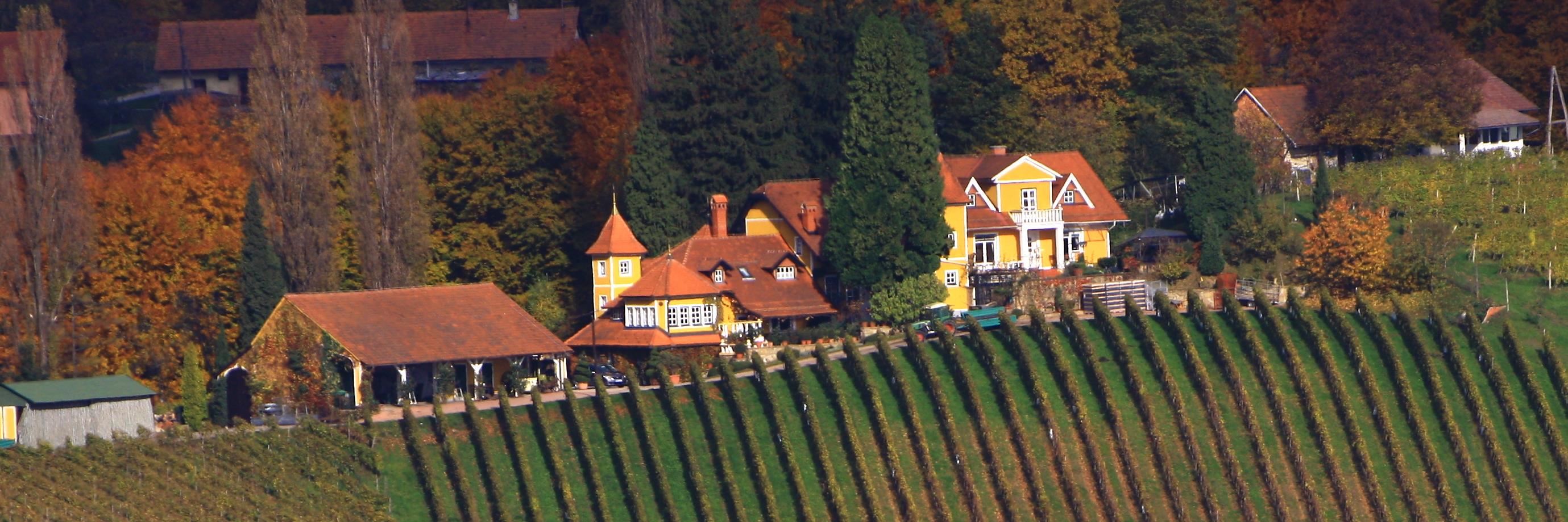 SamoVino's profile banner image