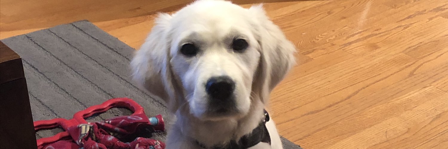 Kaitlyn Doyle banner