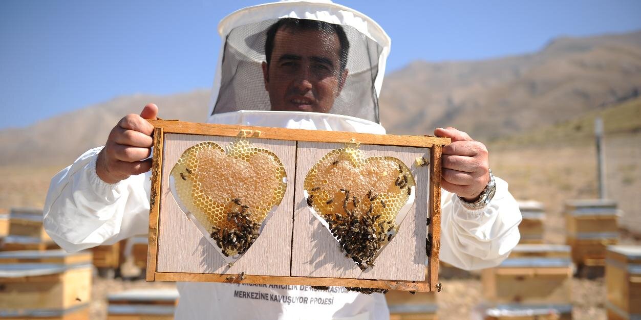 FIRAT ÇENBERLİTAŞ banner