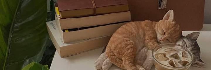 filosofi naya banner