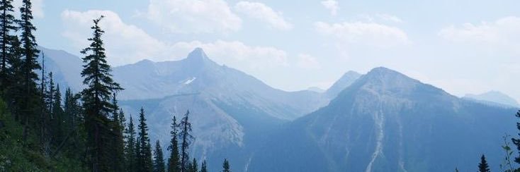 ath banner