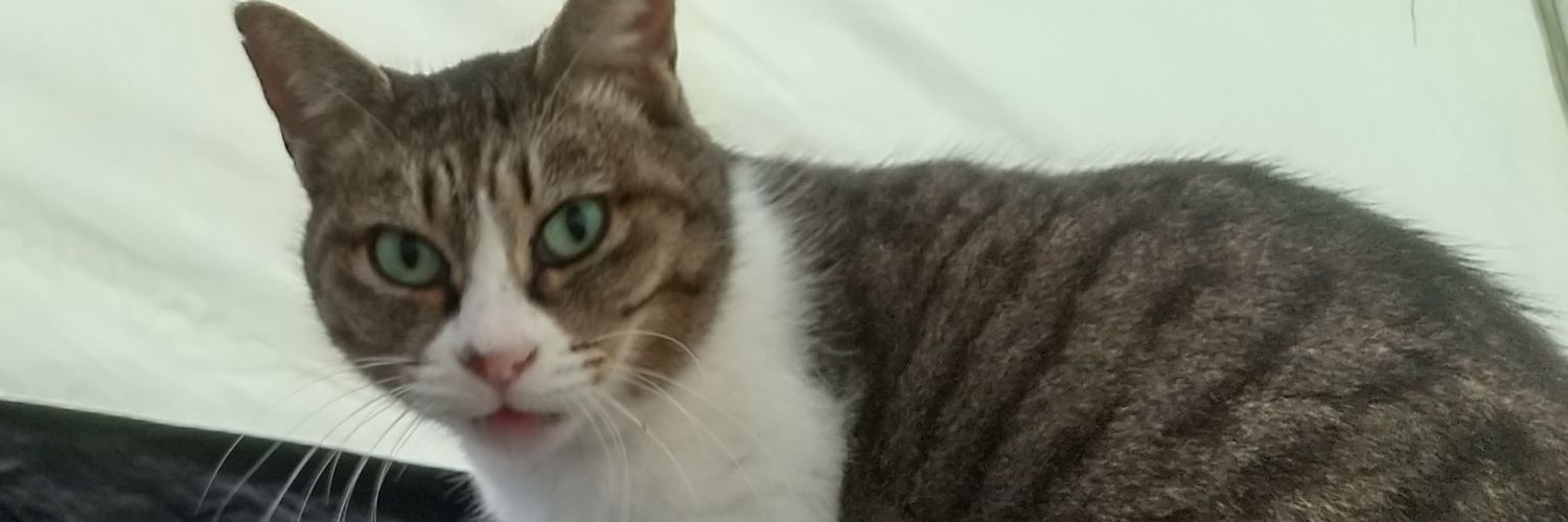 offscouringkazz's profile banner image