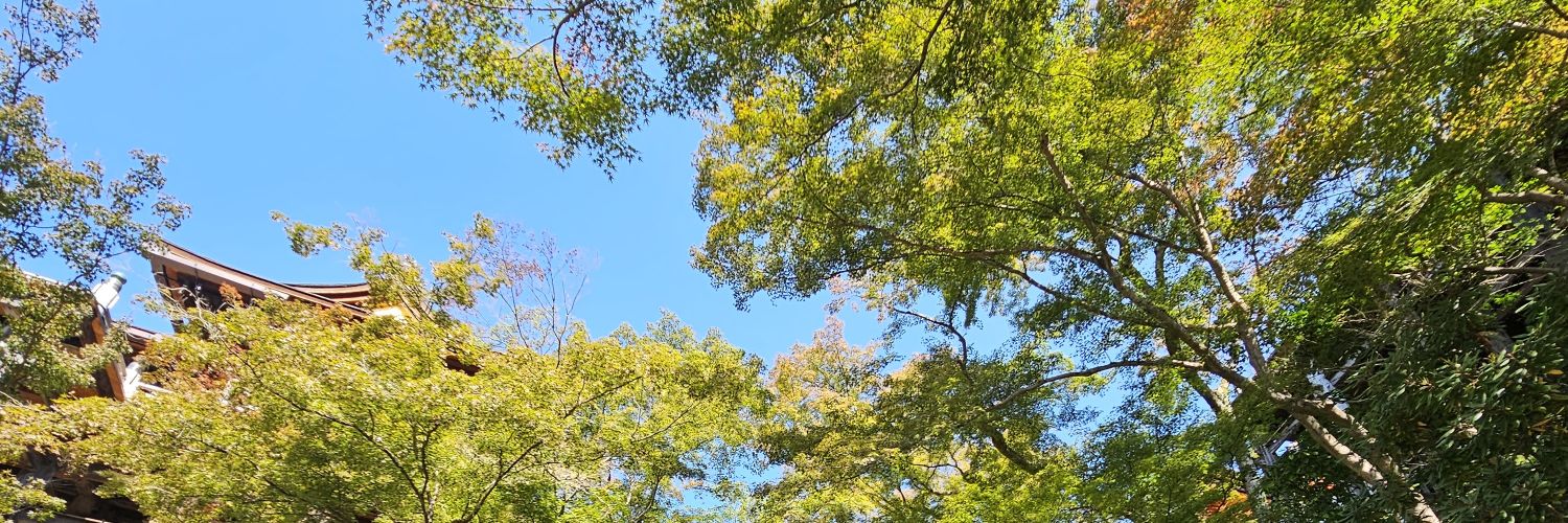 manienutseed's profile banner image