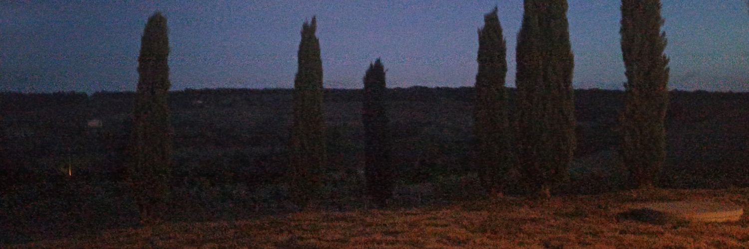 lilyungsmith's profile banner image
