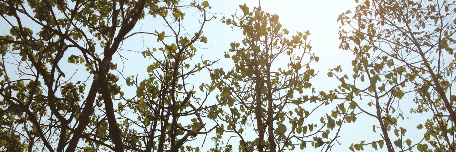Wannavee_Thee's profile banner image