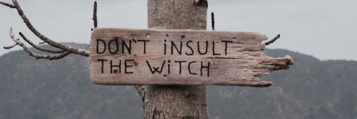 ✨Wild Nimue✨'s banner