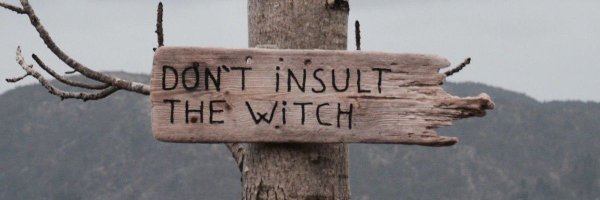 wildnimue Profile Banner