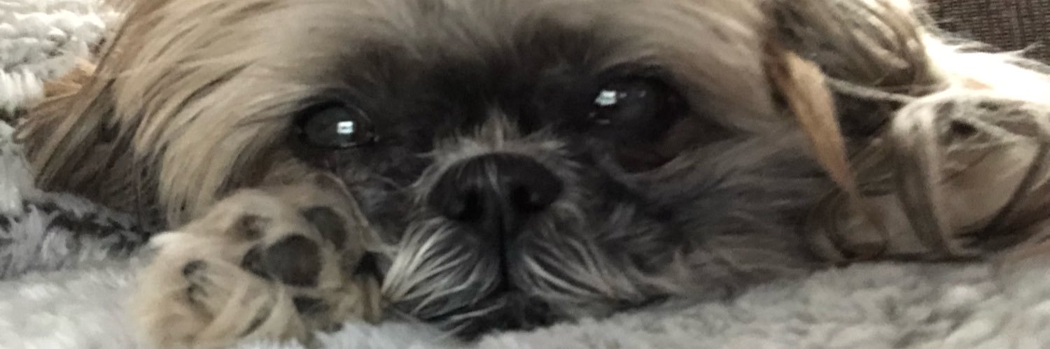 jayferggg's profile banner image