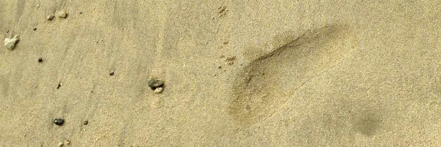 CanangB's profile banner image