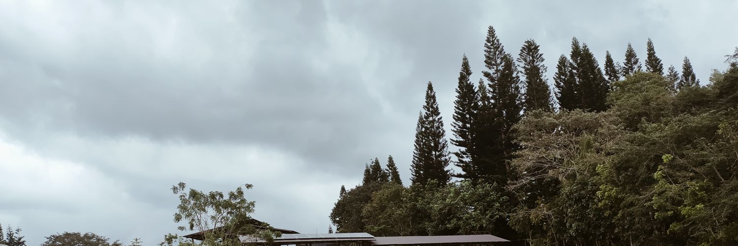 Cmcg06's profile banner image