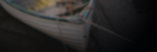 mike chen banner