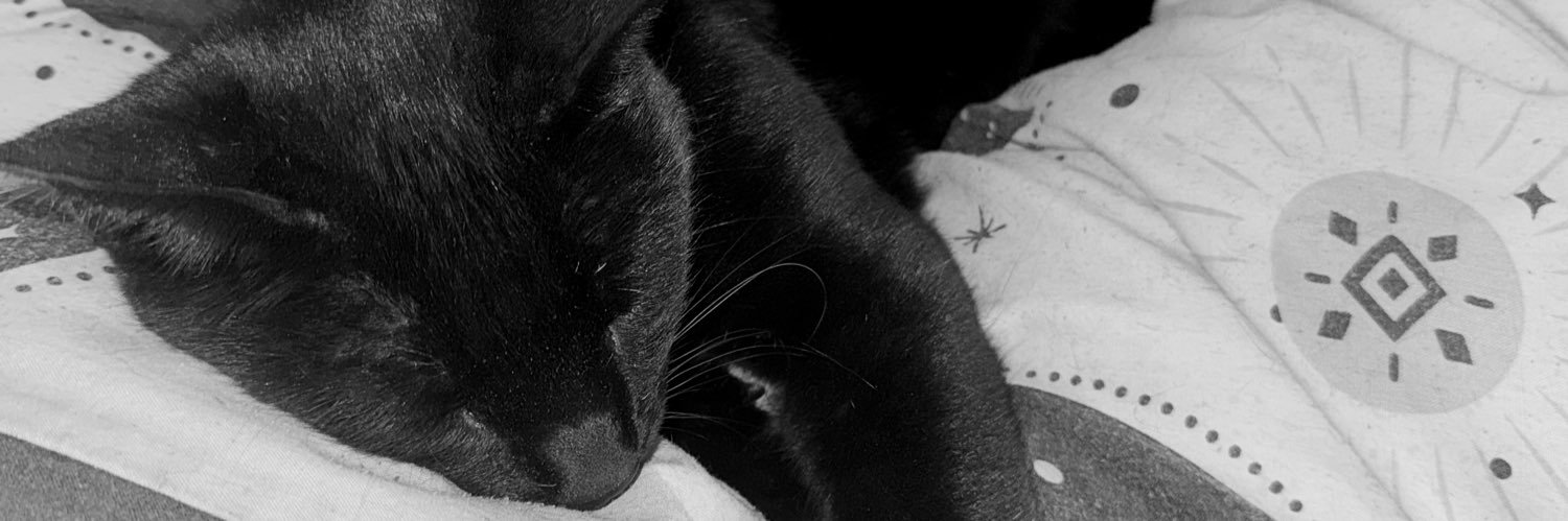 katiebroad__'s profile banner image